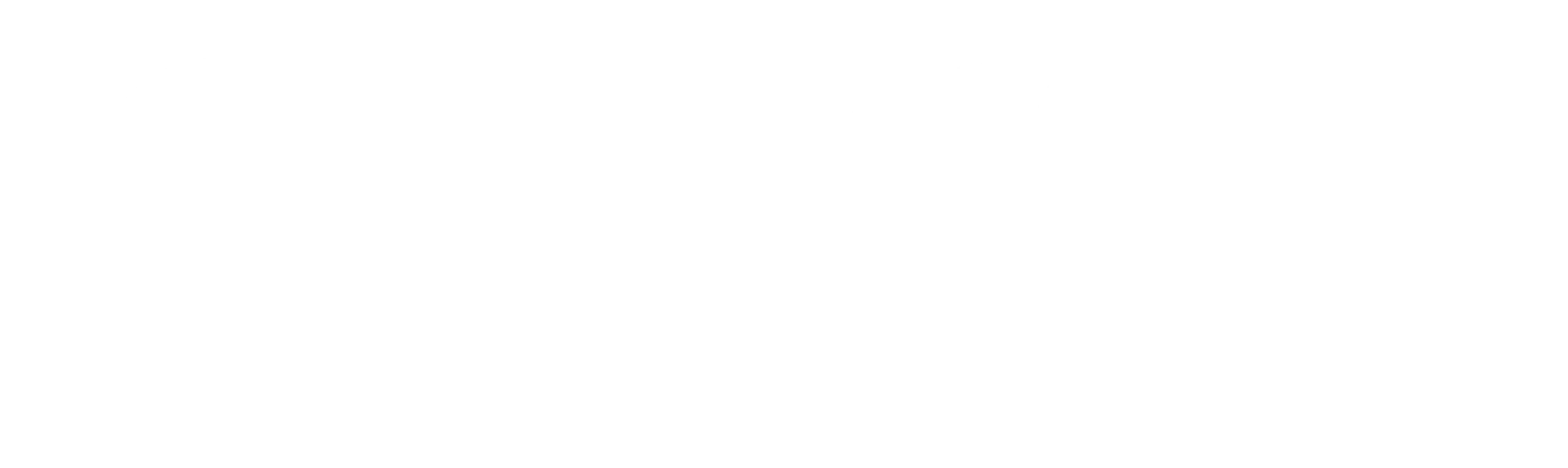 Logo Santa Cruz